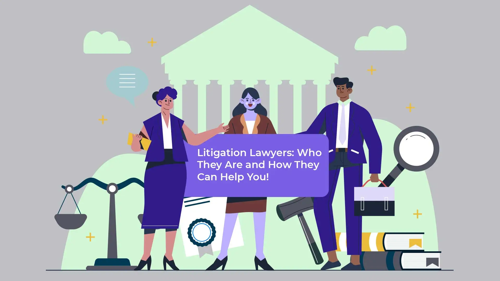 litigation lawyer
